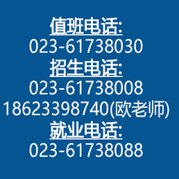 招生咨询热线